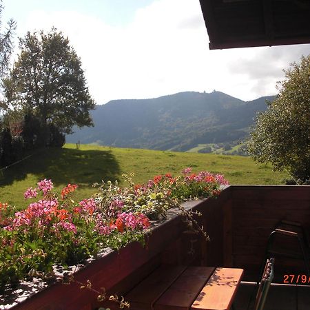 Pension Winter Zell am Moos Extérieur photo