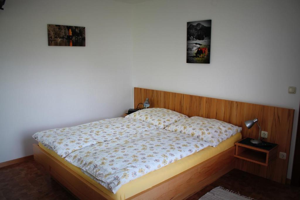 Pension Winter Zell am Moos Extérieur photo